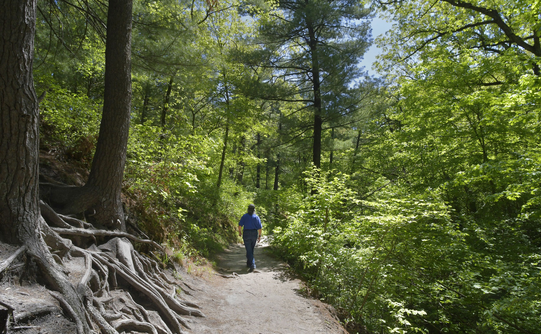 Trails
